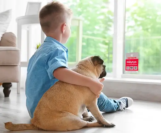 Lapsi ja koira istuvat yhdessä sisällä Verisuren suojaaman kodin ikkunan edessä.