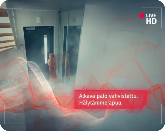 Koira ovea vasten kamerasta nähtynä, wifi-aallot näkyvissä.