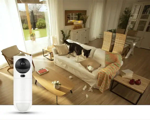 GuardVision-kamerailmaisin sisävalvontaan. Taustalla koira tuhoaa sohvaa.